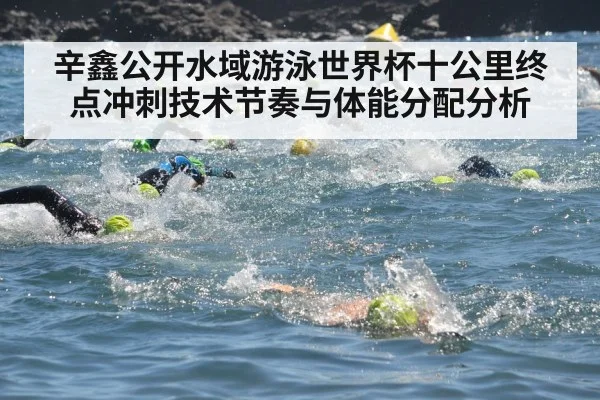 辛鑫公开水域游泳世界杯十公里终点冲刺技术节奏与体能分配分析
