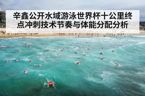 competitive swimming ocean